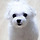 흐미으니아빠 프로필