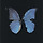 Mariposa 프로필