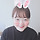 박다원 프로필