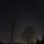지네지 프로필