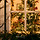 오예 프로필
