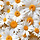 Marguerite 마가렛트 프로필