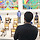 안드레 프로필