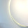 올라 프로필