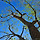DNA특이점 프로필