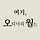 정오월 프로필