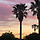 언니 프로필