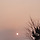 사랑 프로필