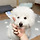 april 프로필