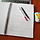 화진 프로필