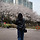 springtime 프로필