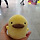 까만곰 프로필
