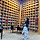 가면토끼 프로필