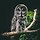 새새 프로필