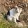 카무치 프로필