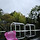 핑크레몬 프로필