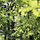 김이영 프로필