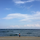 서진규 프로필