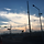serenity 프로필