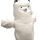 soy 프로필
