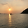 세네카 프로필