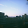 greener 프로필