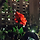 Cactus 프로필