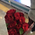 레드로즈 프로필