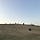 J s 프로필