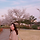 groo 프로필
