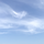 평정 프로필