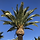 JUNE 프로필