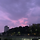호호 프로필