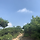 김선희 프로필