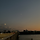 시라리 프로필
