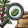 FIND MY GREEN COFFEE 프로필