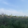 EPAULE 프로필