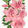꿈꾸는 빙봉 프로필