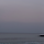 보글보글 프로필