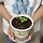 imhana 프로필