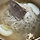 청승 프로필