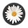 Daisy 프로필