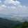 미미 프로필
