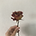 무구 프로필
