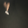 이민근 프로필