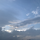 SS 프로필