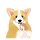 푸징 프로필