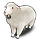 양이 프로필