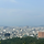 유수연 프로필