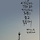 안선진 프로필